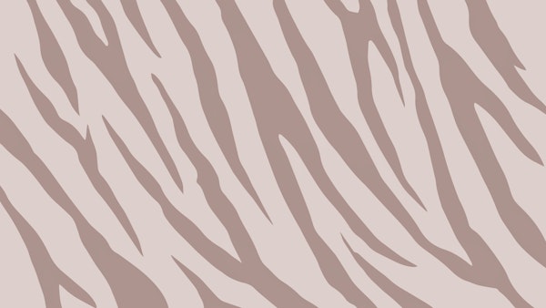 Abstract Zebra Stripes