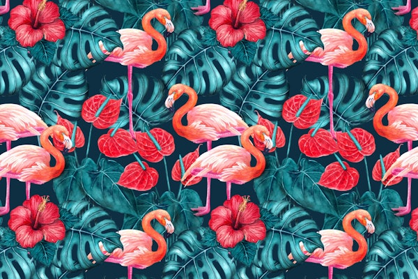 Flamingo birds 4