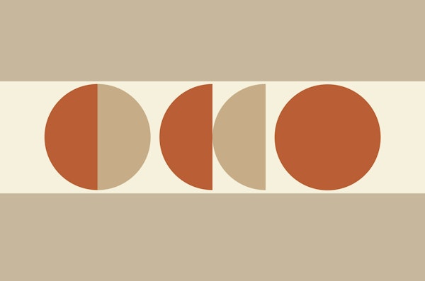 Earthen Tones Symmetry