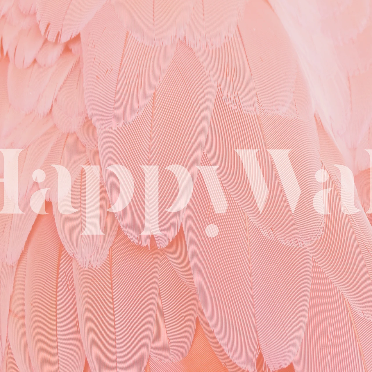 Feather texture in soft pink hues wallpaper