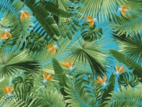 Bird of Paradise Jungle 1 wallpaper