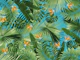 Bird of Paradise Jungle 1