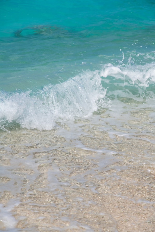 Tropical Shoreline Bliss 1