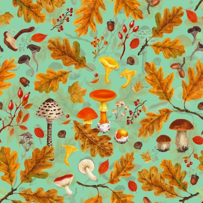Pattern