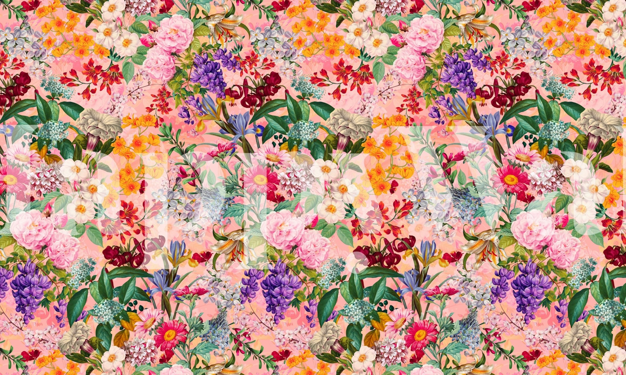 Blooming Oasis Summer floral wallpaper in a room