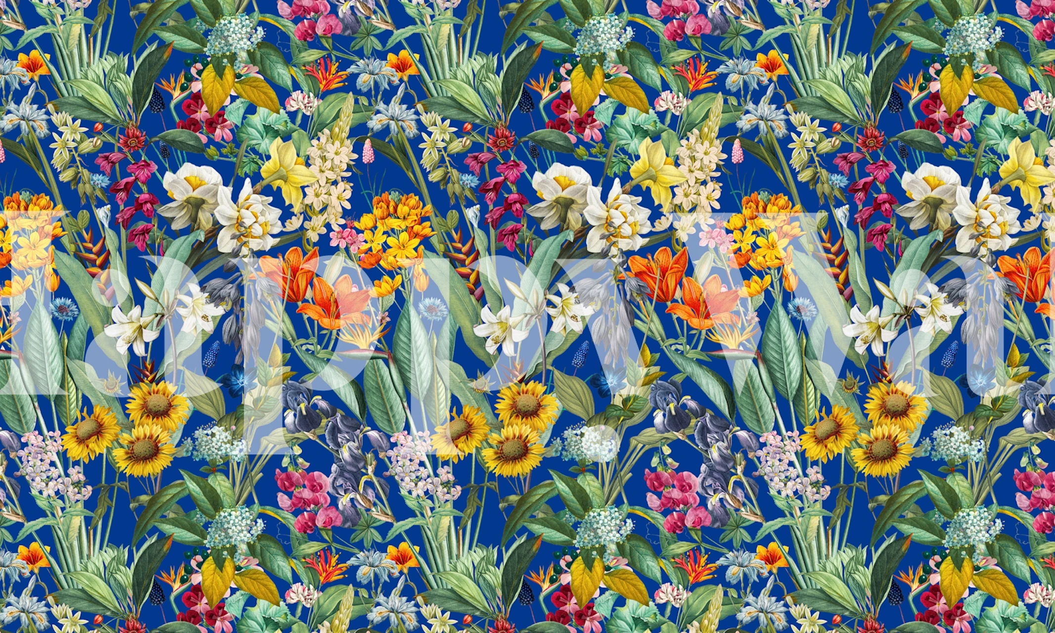 Vibrant tropical floral wallpaper featuring colorful flowers and green leaves on a blue background.