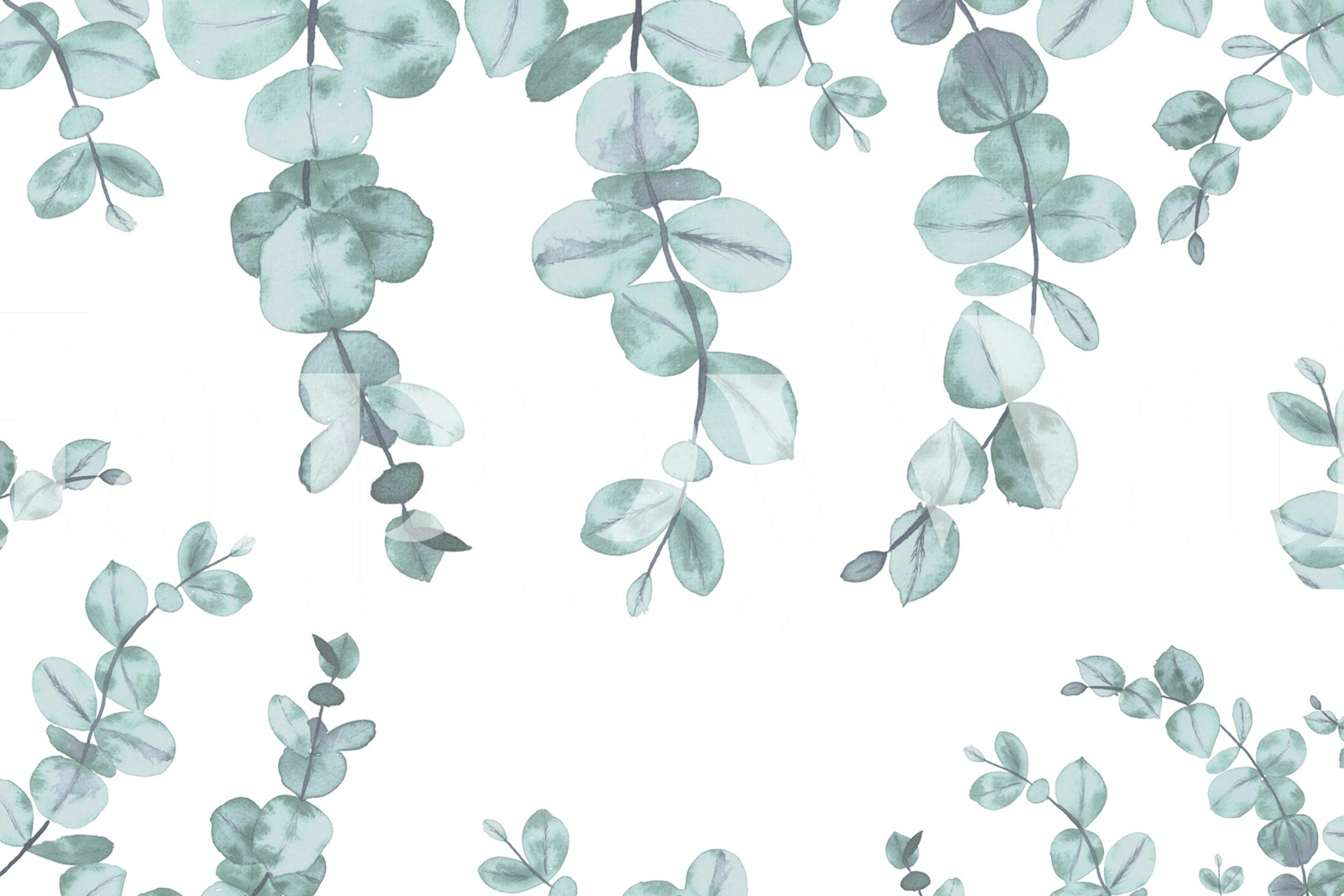 Eucalyptus Dream Watercolor σχέδιο ταπετσαρίας
