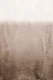 Sepia Gradient Textures