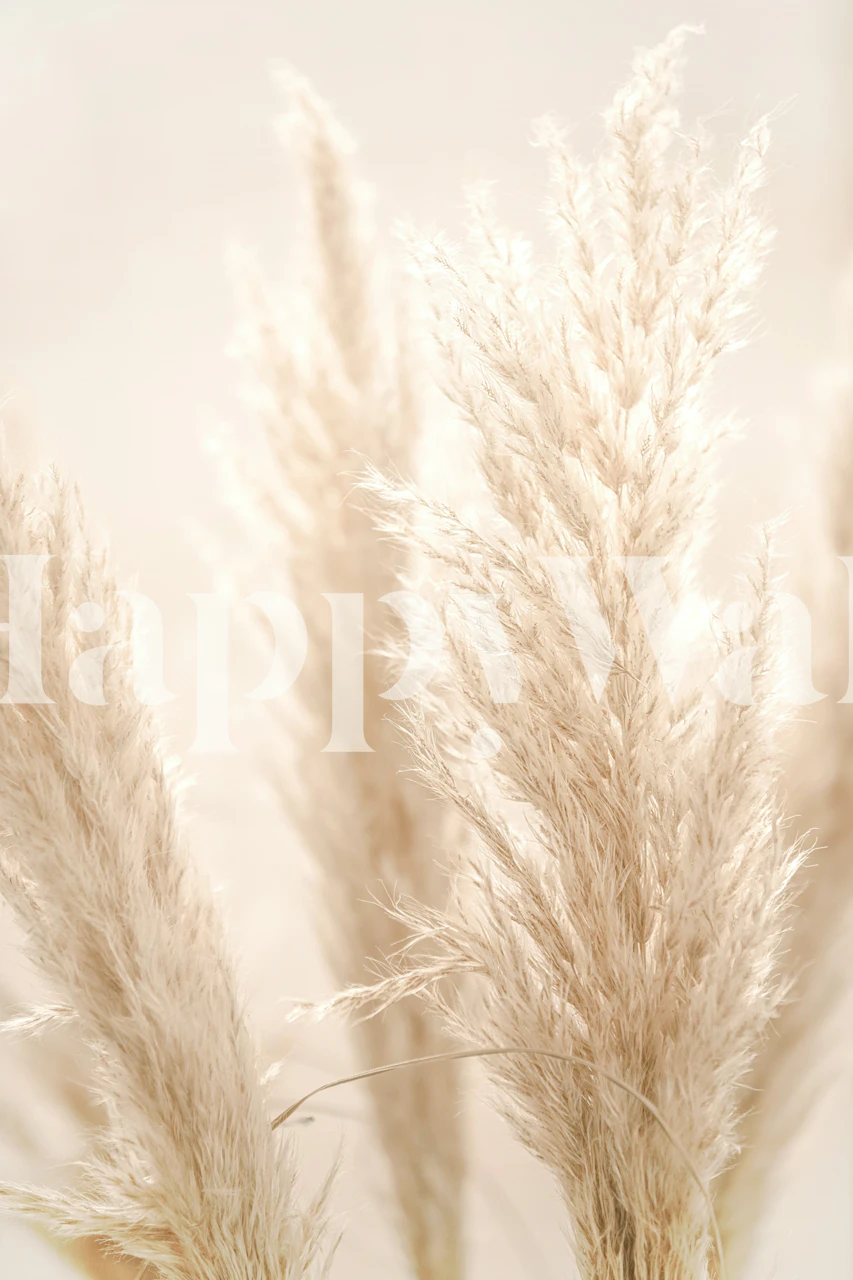 Pampas grass in soft beige tones wall mural