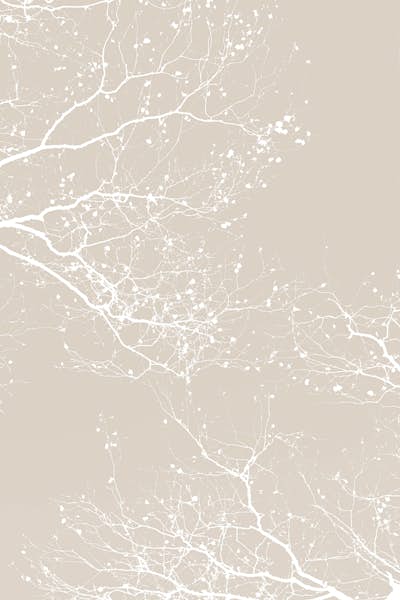 Τοιχογραφία