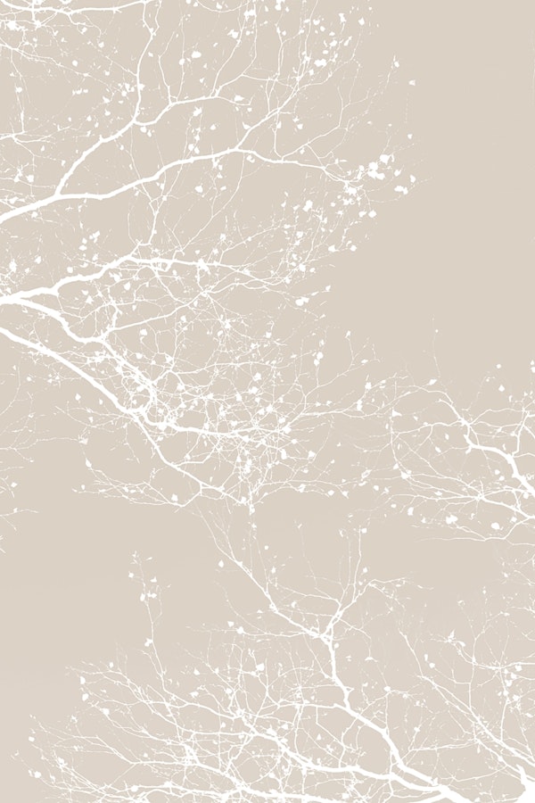 Branches New Natural Silhouette