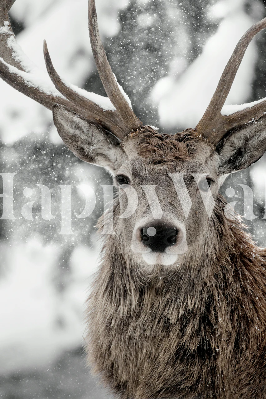 Majestic stag wallpaper in interior setting