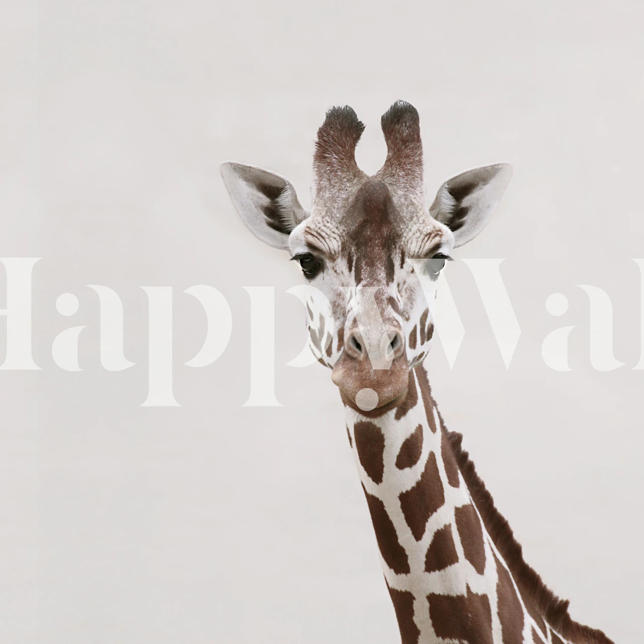 Serene Giraffe Portrait tapet i et rom