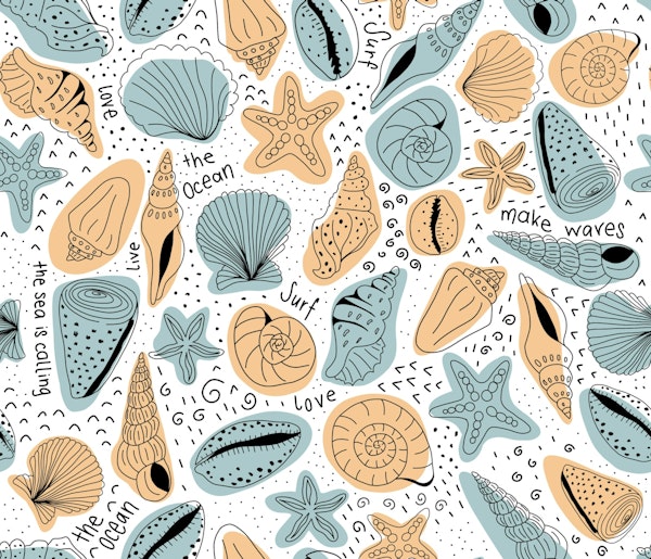 Orange and Blue Seashells and Surfer Lingo