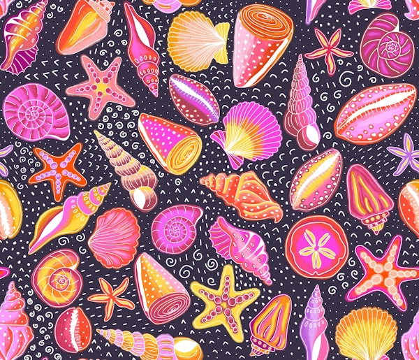 Warm Tone Scattered Seashells and Doodle