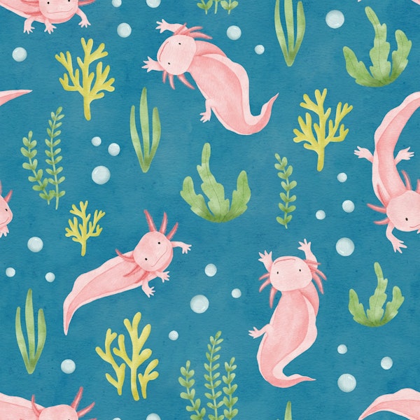 Axolotl Wonderland