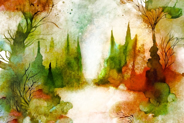 Dreamy Autumn Forest