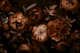 Mystic Garden Victorian Baroque Flowers