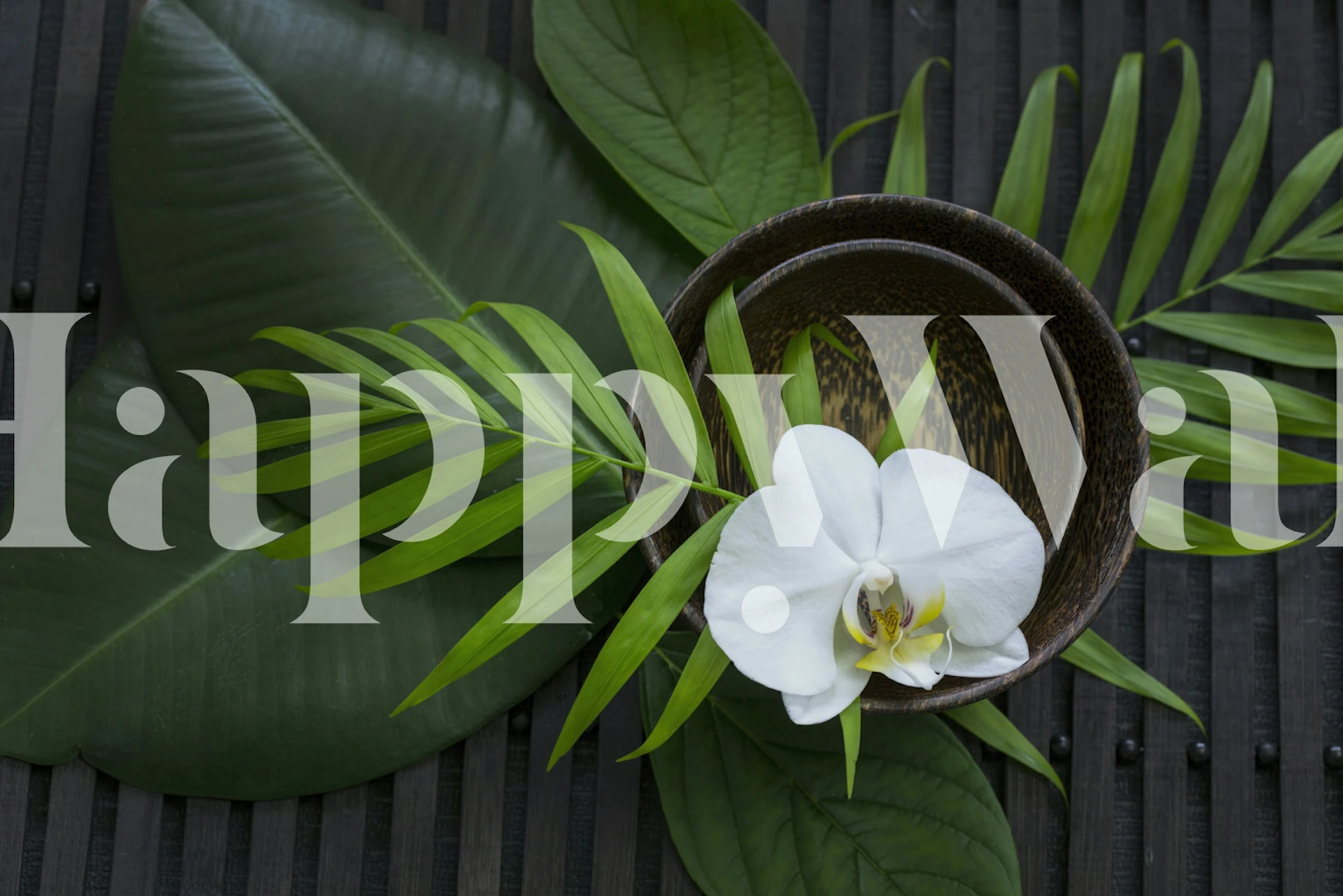 White orchid and green leaves in a bowl wallpaper