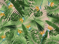 Bird of Paradise Jungle 2 wallpaper