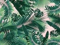 Jungle Leaves Siesta 1 behang