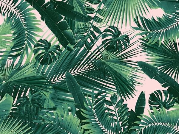 Jungle Leaves Siesta 1