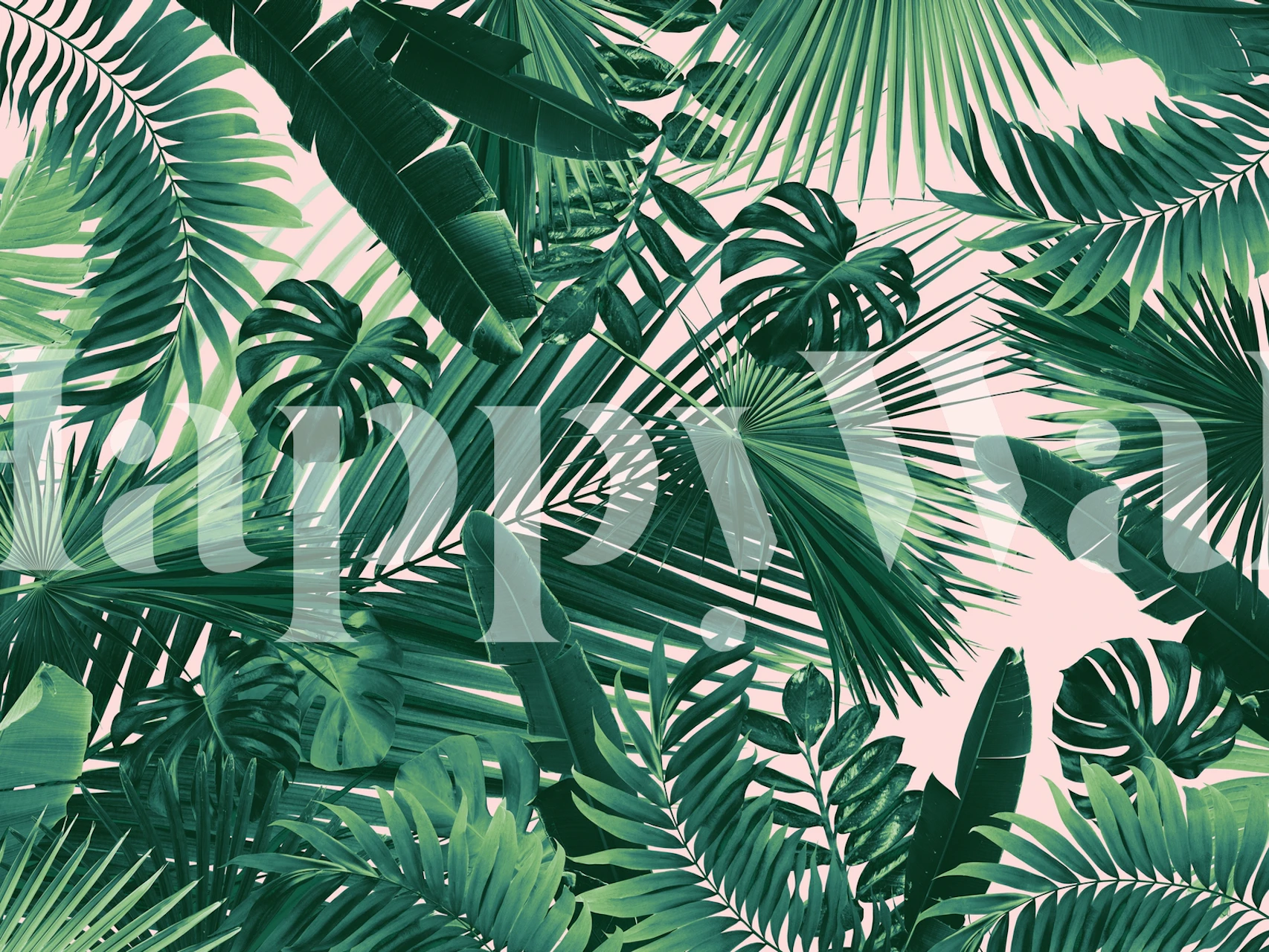 Een fotobehang met een dessin van dichte junglebladeren in verschillende tinten groen, waardoor een vredige tropische sfeer ontstaat.