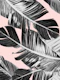 Tropical Blush Banana Leaves 7