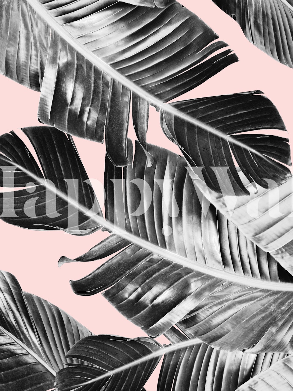 Chic tropical banana leaf pattern on blush pink background wall mural