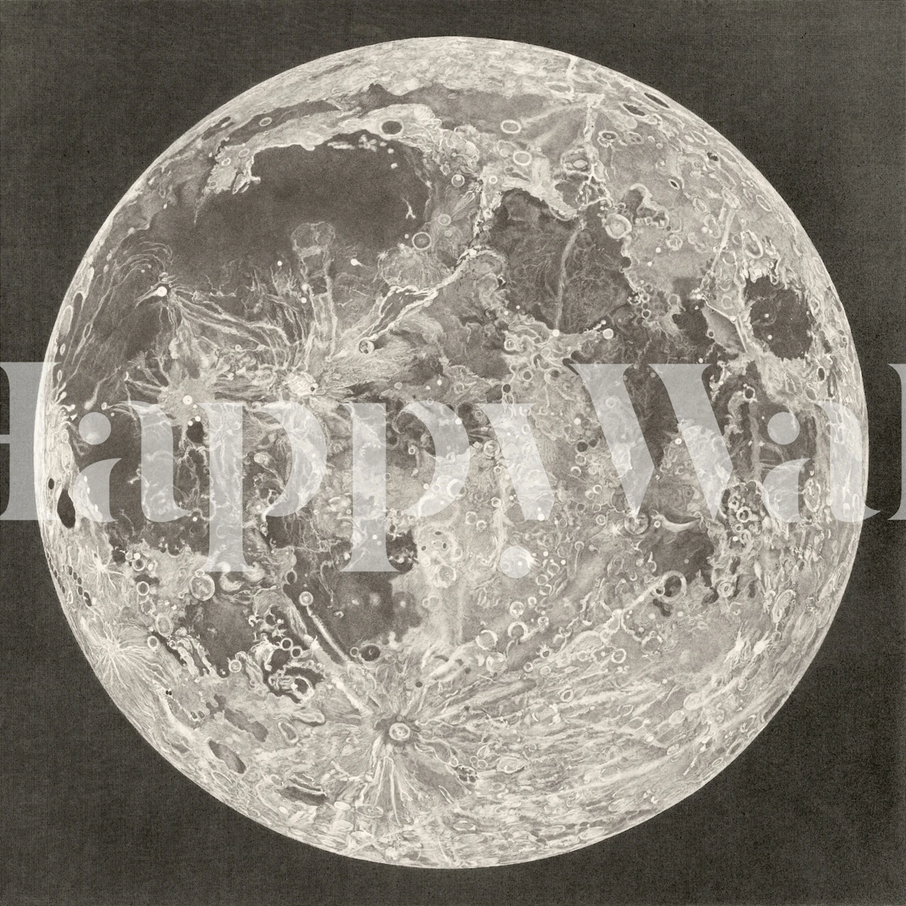 Tapeta Vintage Moon vystavená v místnosti