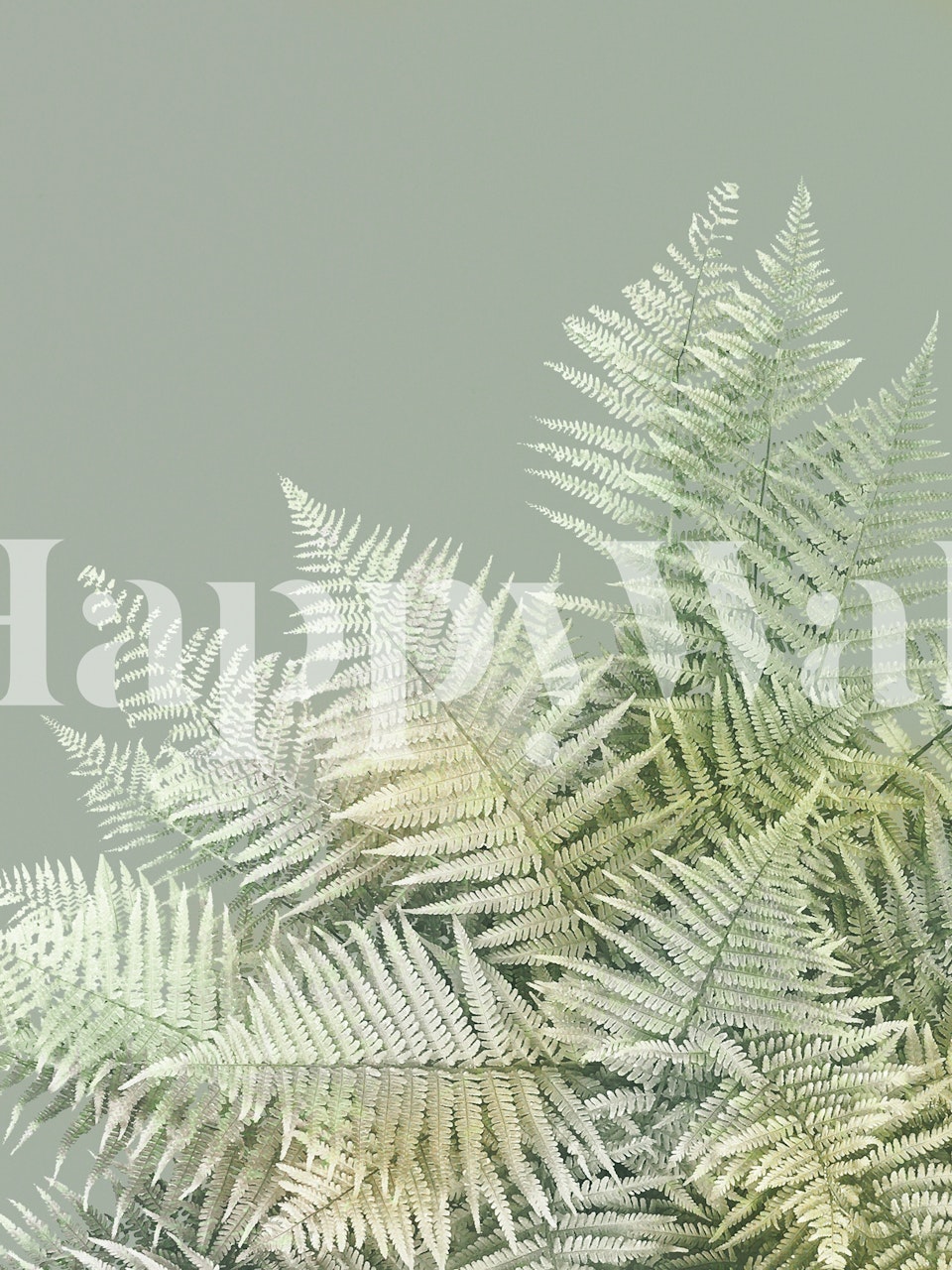 Tropical fern leaves in soft sage green wallpaper