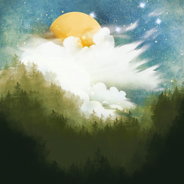 Celestial Forest Dawn