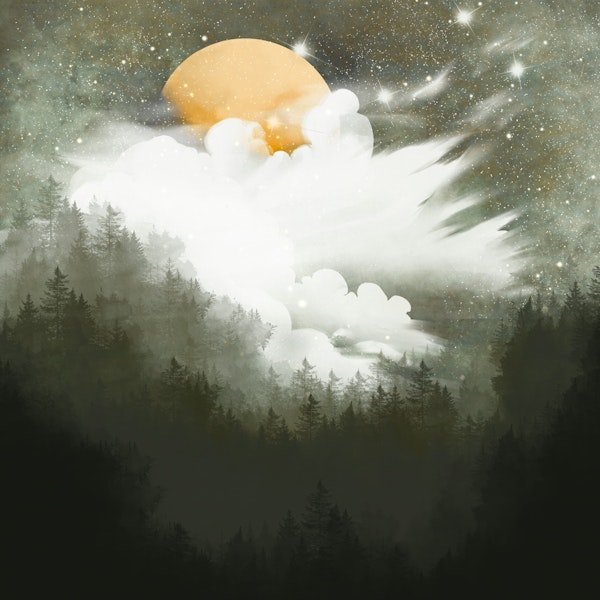 Golden Moonlit Woods