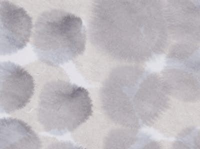 Τοιχογραφία