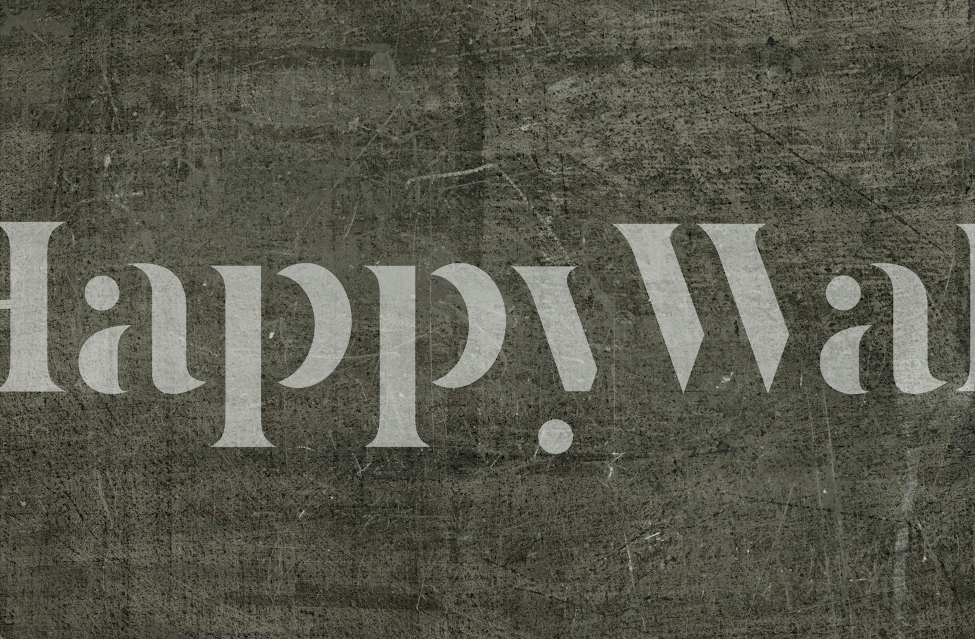 Texture grey wood wallpaper in a room