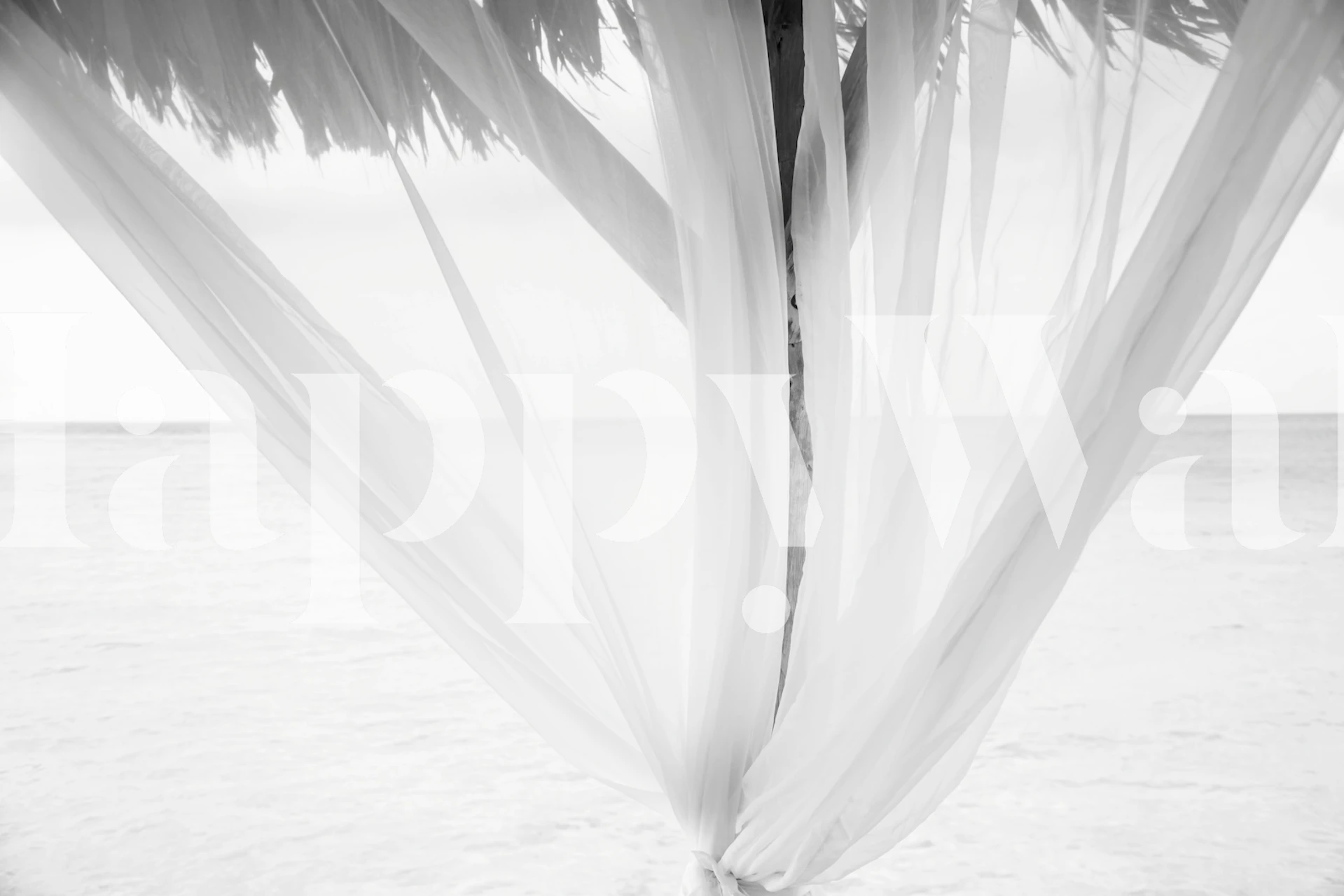 Caribbean Dream Catcher wallpaper in a room