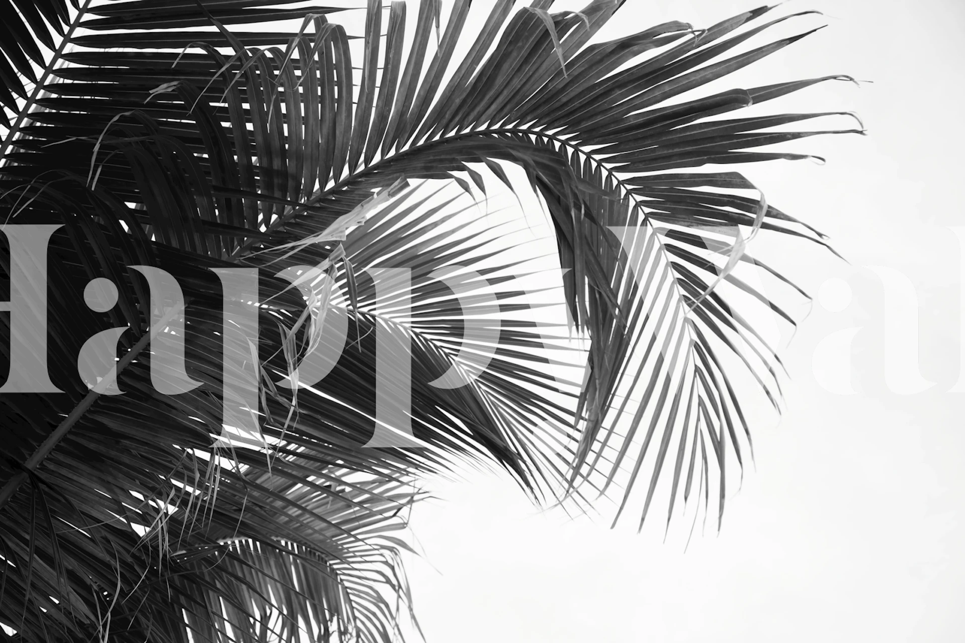 Lush Caribbean Palms Tapete in einem Raum