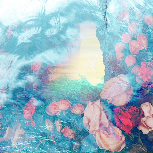 Tropical Dreamscape