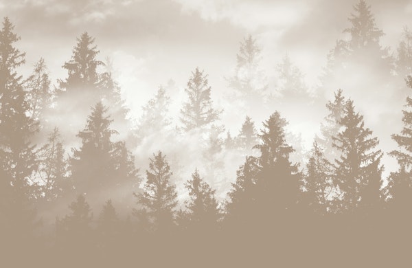 Beige Forest Dream 1