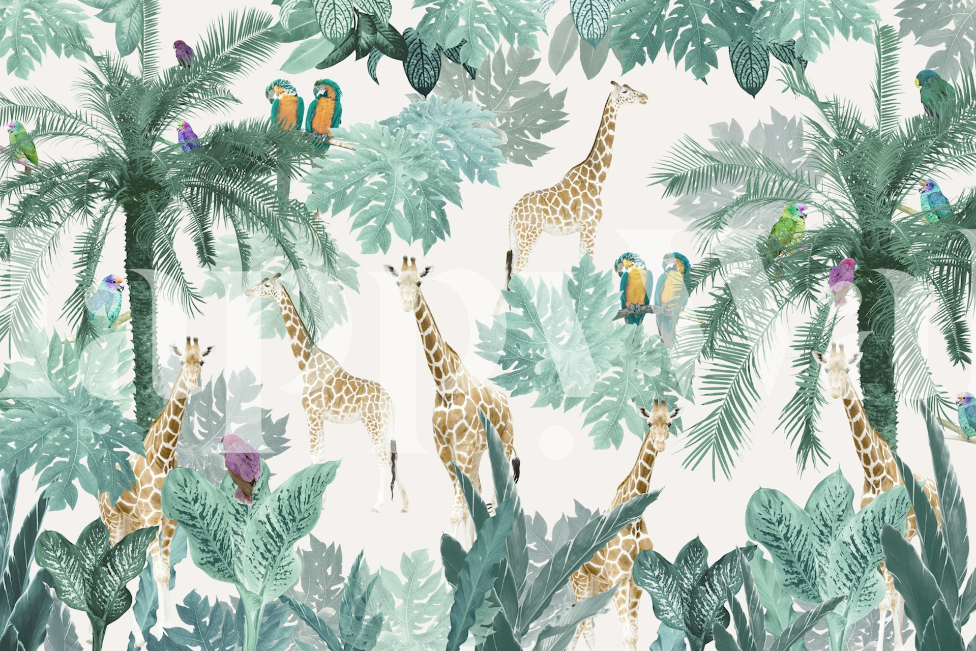 Tropical Safari Adventure tapeta w pokoju