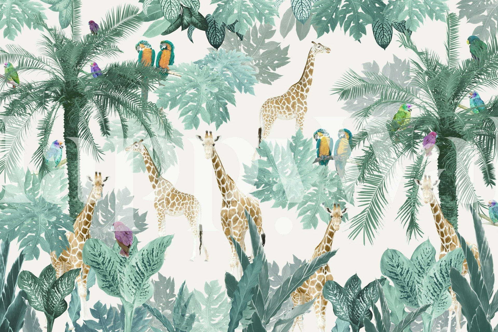 Tropical Safari Adventure tapetti huoneessa