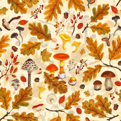 Pattern