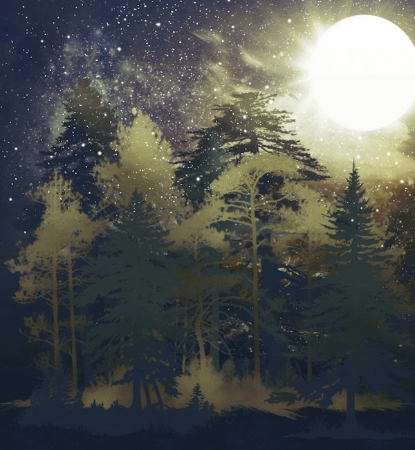 Mystical Full Moon Forest