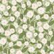 Beautiful climbing flower vines 2