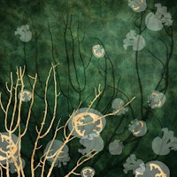 Reef Life with Jellyfish - Emerald Green behang