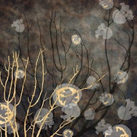 Reef Life with Jellyfish - Murky Brown behang