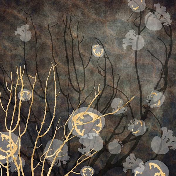 Reef Life with Jellyfish - Murky Brown