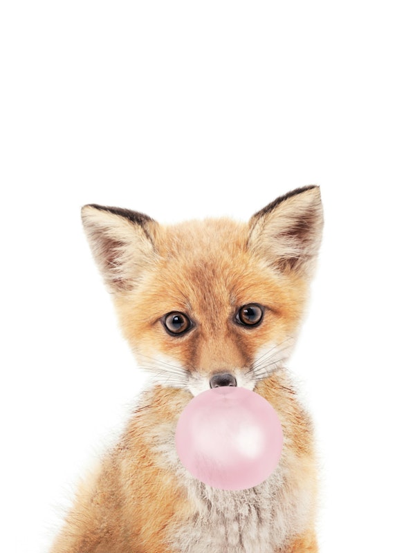Bubble Gum Fox