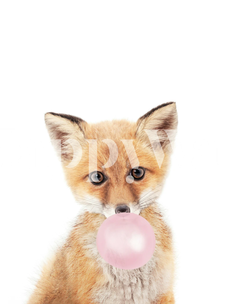 Fox blowing bubblegum wallpaper in a room