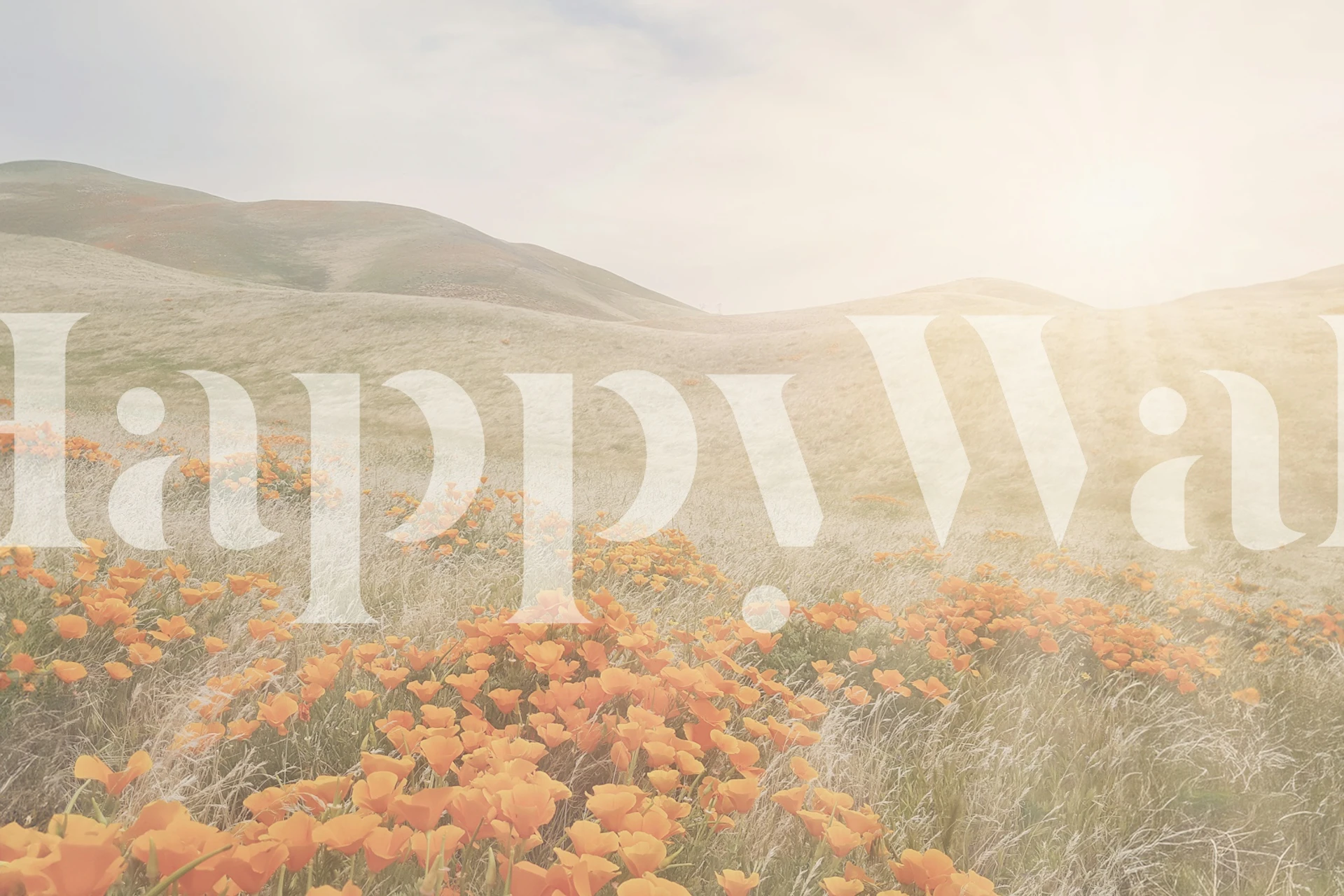 Sunny Meadow Blooms tapet i et rom